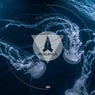Echo's Beneath the Ocean