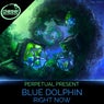 Blue Dolphin / Right Now