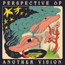 Perspective Of Another Vision