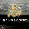 Top 13 Spring Ambient