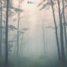 Hazy