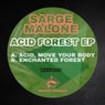 Enchanted forest (original mix)