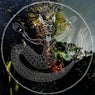 Northern Lights (Mr. G Remix)