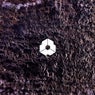 Endless Road Ep