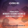 Intricate Sessions Volume 02: Vadim Soloviev's Sampler