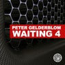 Waiting 4 (2011 Mixes)