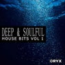 Deep & Soulful House Bits Vol 1