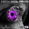 Tech Size Prog 2013 - Vol. 2