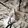 Little While (feat. Jonatan Backelie)