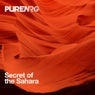 Secret of the Sahara