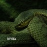 Hydra