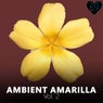 Ambient Amarilla, Vol. 2