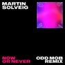 Now Or Never (Odd Mob Extended Mix)