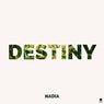 Destiny (Extended Mix)