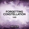 Forgetting / Constellation