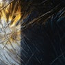 INSTINKTLAB023