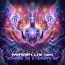 Echoes of Eternity EP