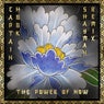 The Power of Now (Shayman Remix)