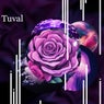 Tuval