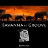 Savannah Groove