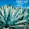Desert Cacti Peaceful Energy V1