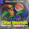 Sitar Hornik - Pulsarion & Perrey Carter Remix