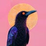 Currawong