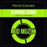 Burning Down (Craig C Remixes)