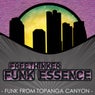 Funk From The Topanga Canyon