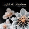Light & Shadow