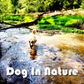 Dog in Nature (Deep Minimal Techno Tracks)