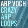 Crazy Arp Loops 2
