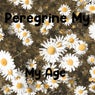 My Age