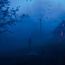 Never Alone