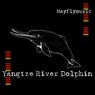 Yangtze River Dolphin