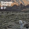 Shadows (Extended Mix)