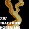 5.17 / That's How Horses Are