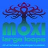 Vortex Loopy Loops Volume 14