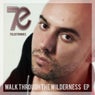Walk Through the Wilderness