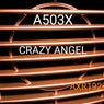 Crazy Angel