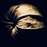 Shadow