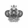 DVS1, Ryan Elliott, Sterac Remixes