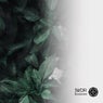 Echoscope