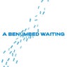 A Benumbed Waiting