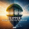 Interconnected Worlds EP