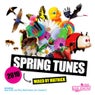 Spring Tunes 2010 (Unmixed Digital Version)