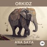 Ana Saya (Jack Essek Remix)