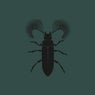 Featherhorned Beetle EP