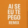 Ai Se Eu Te Pego (Remix)