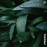 Petrichor
